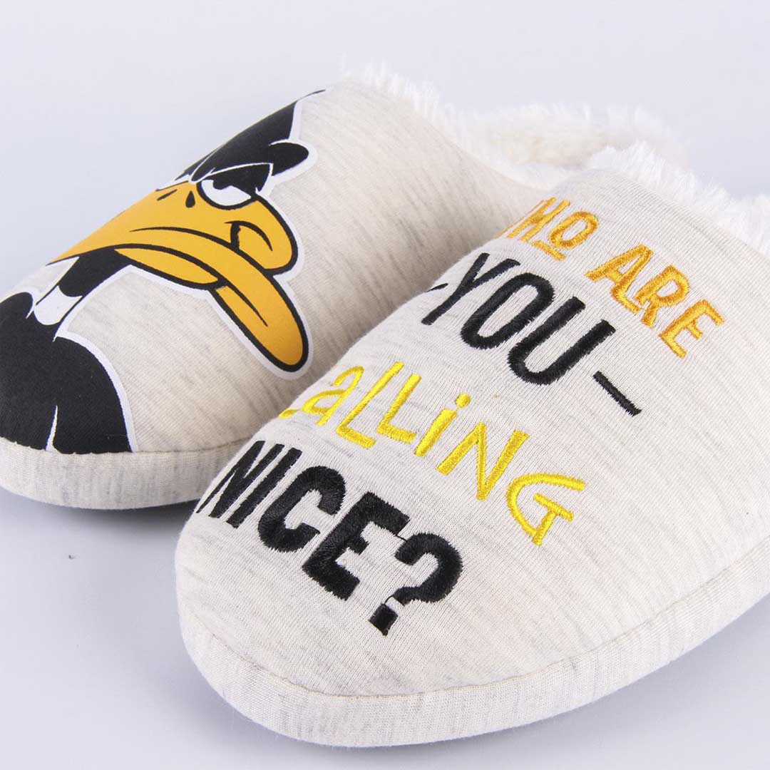 Daffy Duck Looney Tunes slippers