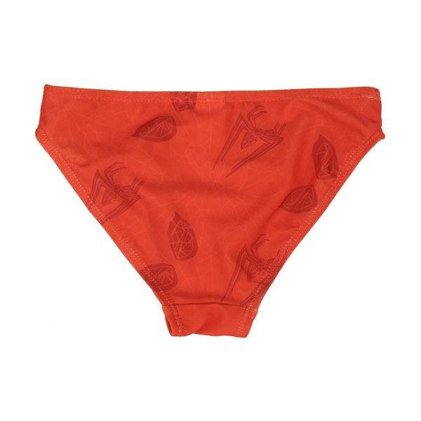 SPIDERMAN costume